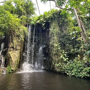 Bush- Waterfall 6.7.23