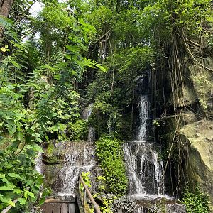 Bush- Waterfall 6.7.23