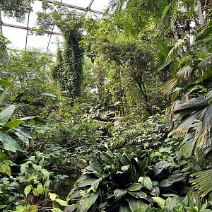 Bush- General view 6.7.23