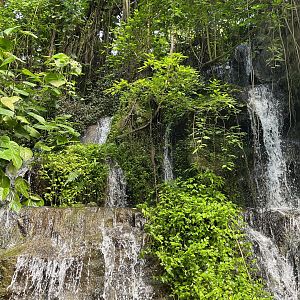 Bush- Waterfall 6.7.23