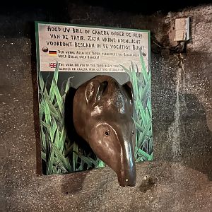 Tapir hot air blower 6.7.23