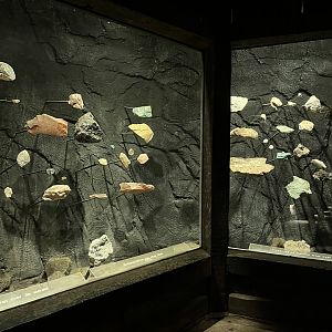 Desert- Mineral display 6.7.23