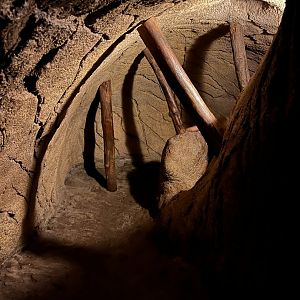 Desert- view coming through secret tunnel 6.7.23