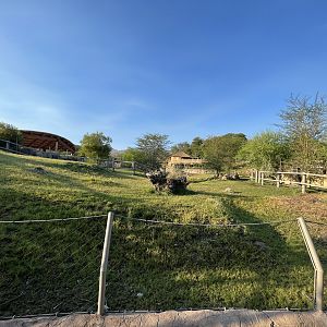 Rhino Savanna - New in 2021