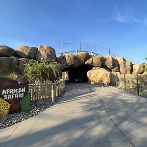 Rhino Savanna - New in 2021