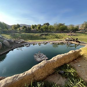 Rhino Savanna - New in 2021