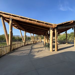 Rhino Savanna - New in 2021