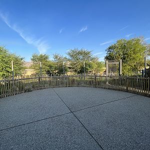 Rhino Savanna - New in 2021