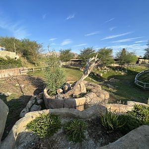 Rhino Savanna - New in 2021