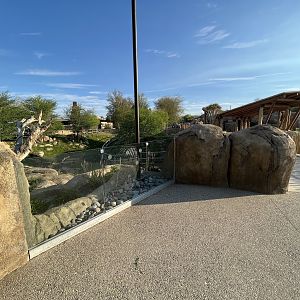 Rhino Savanna - New in 2021