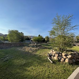 Rhino Savanna - New in 2021