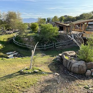 Rhino Savanna - New in 2021