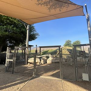 Giraffe/Kudu/Ostrich Exhibit