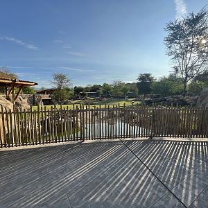 Rhino Savanna - New in 2021