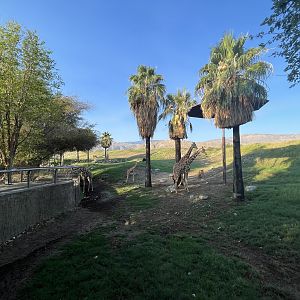 Giraffe/Kudu/Ostrich Exhibit