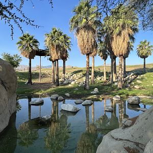 Giraffe/Kudu/Ostrich Exhibit