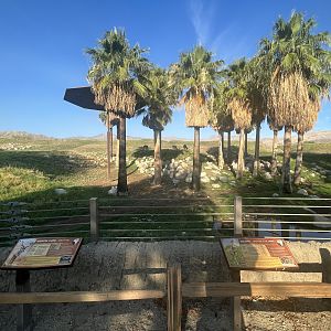 Giraffe/Kudu/Ostrich Exhibit