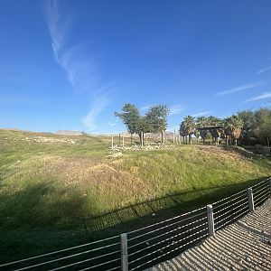 Giraffe/Kudu/Ostrich Exhibit