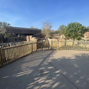 Warthog Exhibit