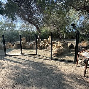 African Exhibit (3 species)