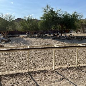 African Exhibit (5 species)