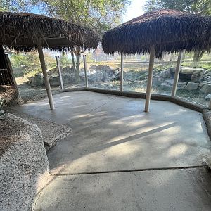 African Wild Dog Exhibit