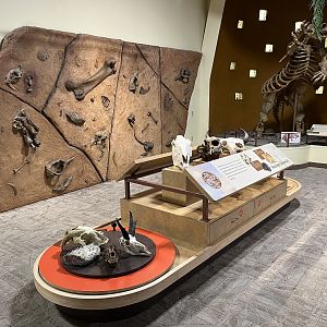 Hoover Discovery Center