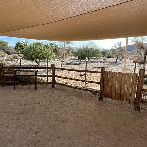 Peninsular Pronghorn Exhibit