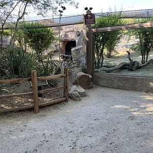 Jaguar Exhibit