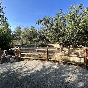 Mexican Wolf Exhibit