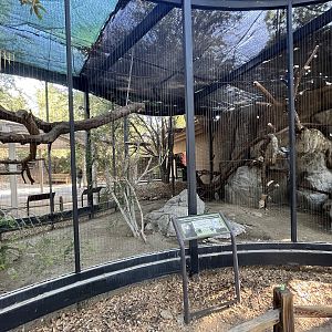 Bald + Golden Eagle Aviary