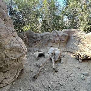 American Badger Exhibit