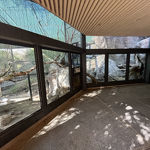 Channel Island Fox Exhibit