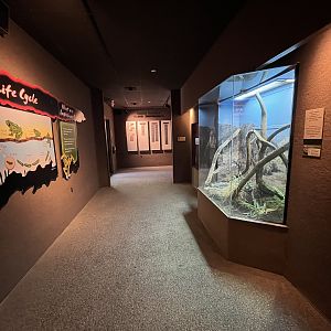 Rundown Herp Building