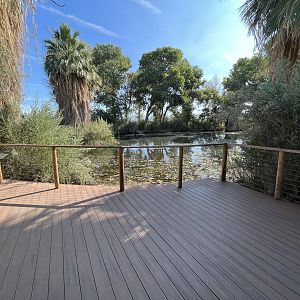 Sonoran Pond Overlook