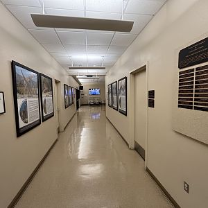 Wildlife Hospital + Conservation Center