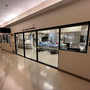 Wildlife Hospital + Conservation Center