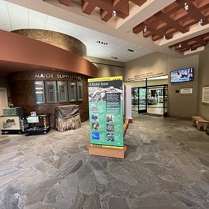 Wildlife Hospital + Conservation Center