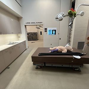 Wildlife Hospital + Conservation Center