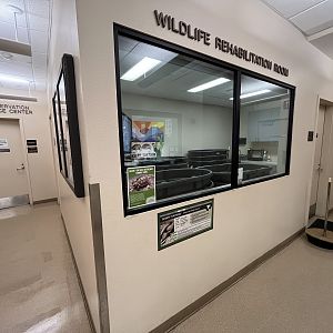 Wildlife Hospital + Conservation Center