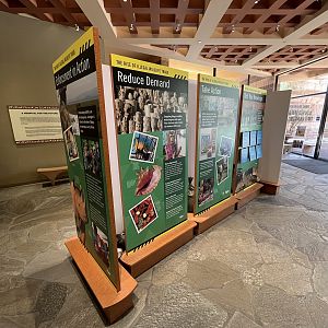 Wildlife Hospital + Conservation Center