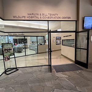 Wildlife Hospital + Conservation Center