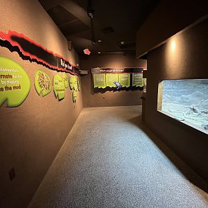 Rundown Herp Building