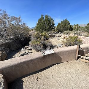 Desert Tortoise Exhibit