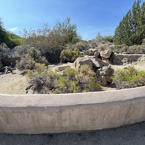 Desert Tortoise Exhibit