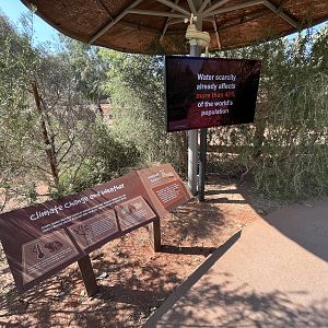 Australian Adventures - New in 2020