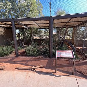 Kookaburra + Tawny Frogmouth Aviaries