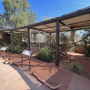 Kookaburra + Tawny Frogmouth Aviaries