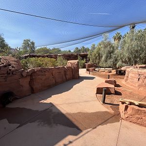 Australian Adventures - New in 2020