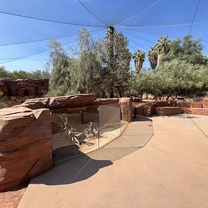 Australian Adventures -Walk Through Area